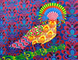 Attrape-mouches, 2017